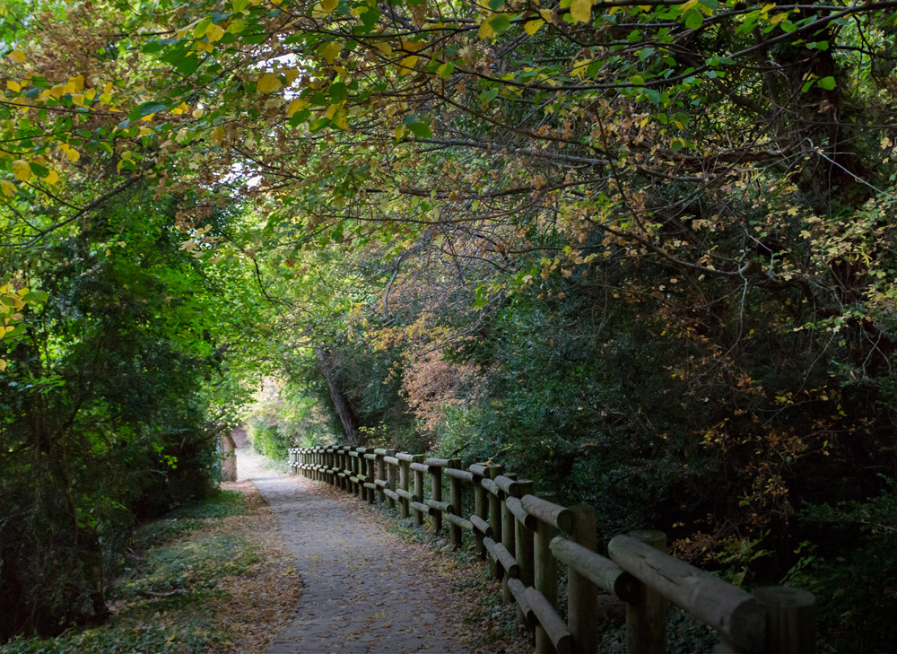 Camino de Santiago