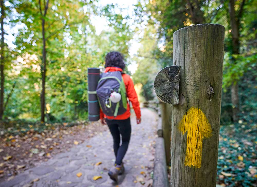 Camino Santiago