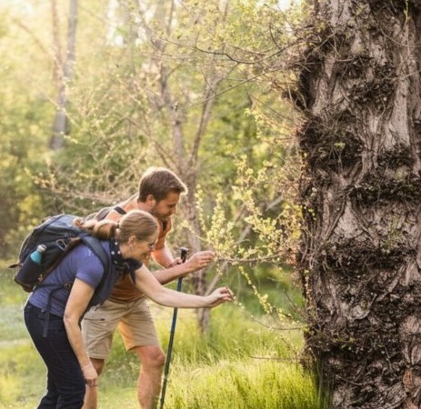 Semana Santa 2026 en la Red Natural de Aragón